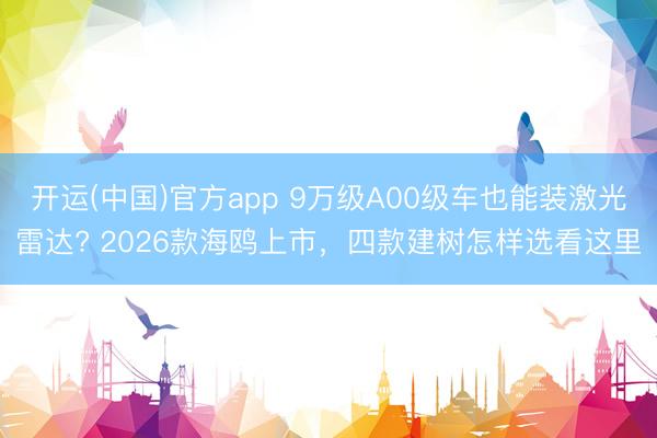 开运(中国)官方app 9万级A00级车也能装激光雷达? 2026款海鸥上市，四款建树怎样选看这里