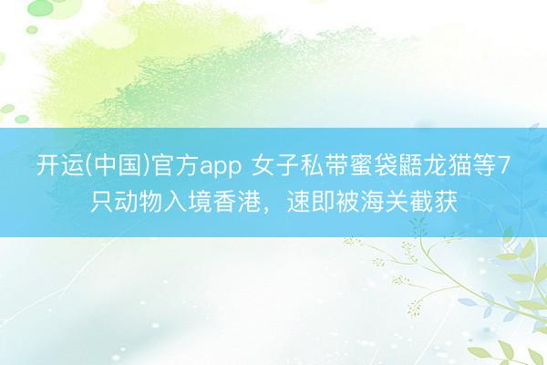 开运(中国)官方app 女子私带蜜袋鼯龙猫等7只动物入境香港，速即被海关截获