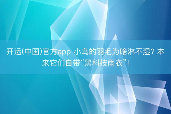 开运(中国)官方app 小鸟的羽毛为啥淋不湿? 本来它们自带“黑科技雨衣”!