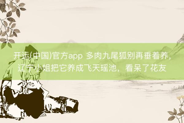 开运(中国)官方app 多肉九尾狐别再垂着养，辽宁小姐把它养成飞天瑶池，看呆了花友