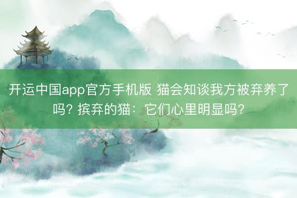 开运中国app官方手机版 猫会知谈我方被弃养了吗? 摈弃的猫：它们心里明显吗?