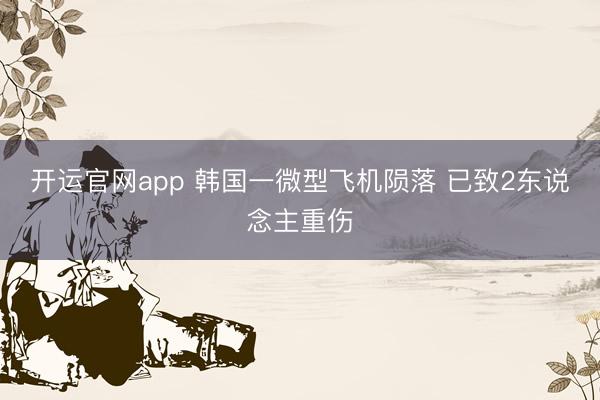 开运官网app 韩国一微型飞机陨落 已致2东说念主重伤