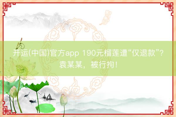 开运(中国)官方app 190元榴莲遭“仅退款”?袁某某,被行拘!