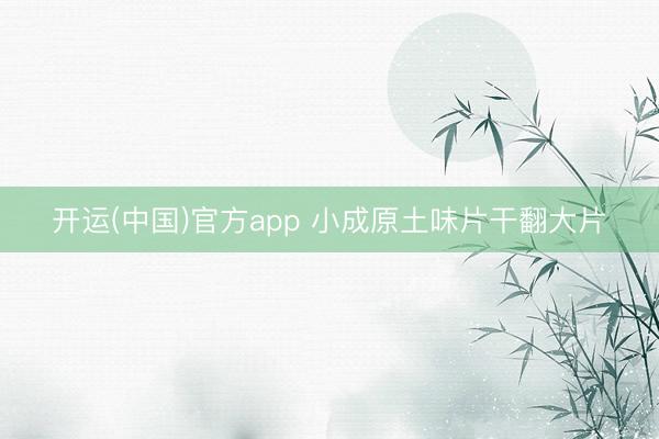 开运(中国)官方app 小成原土味片干翻大片